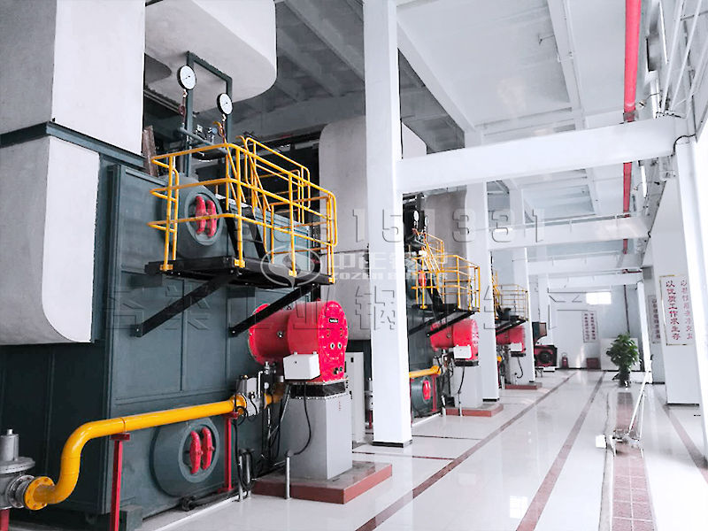 1吨节能供热锅炉厂家 的工作系统主要由哪些组成？